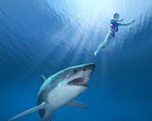 Entrepreneur : avez-vous le profil d'un requin ?