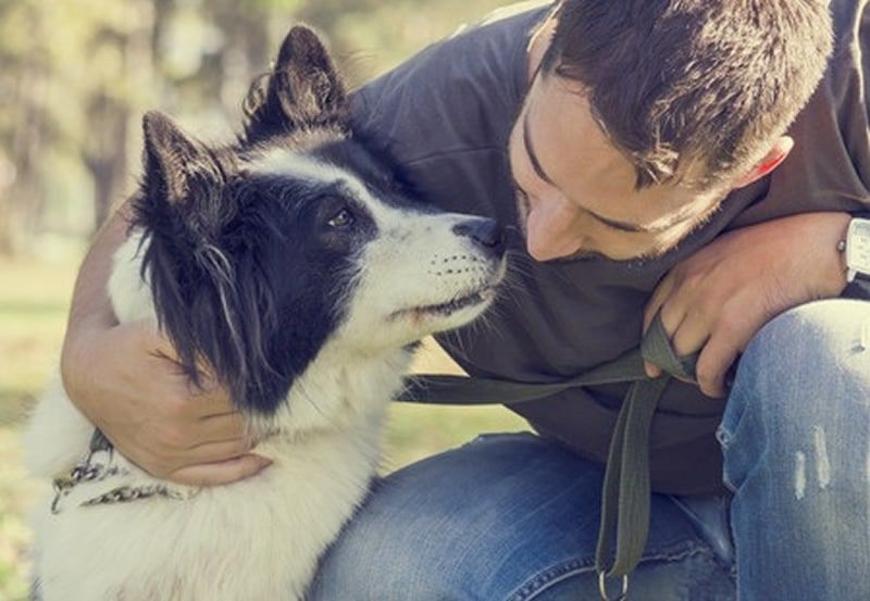 devenir garde d'animaux